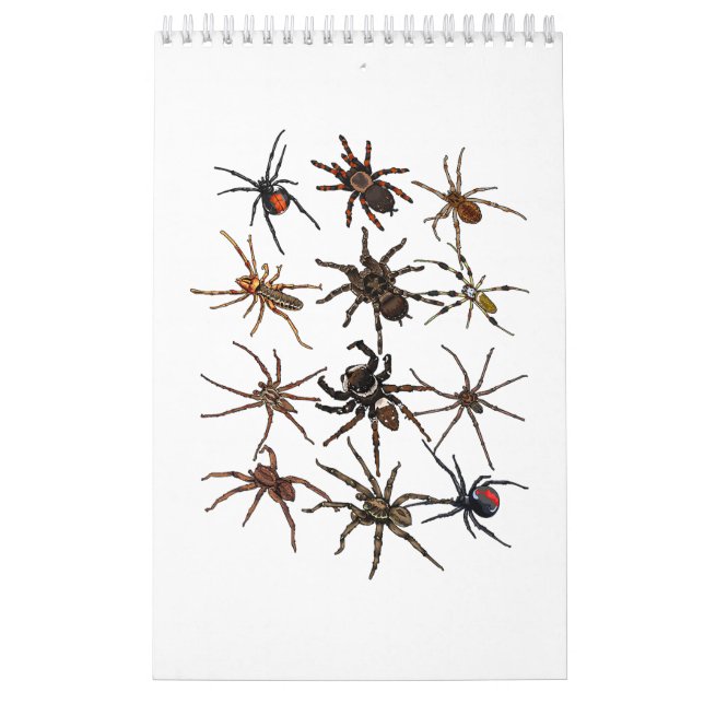 Cool Spider For Men Women Arachnid Spooky Scary Ha Calendar (Cover)