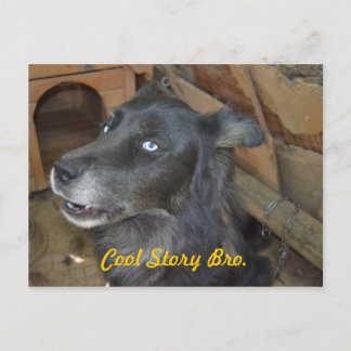 Cool Story Bro Postcard