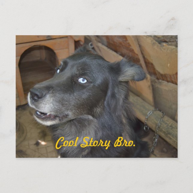 Cool Story Bro Postcard (Front)