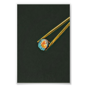 Cool sushi gift photo print
