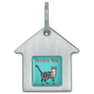 Cool Tabby Cat You Are One Cool Cat Cats Pet ID Tag