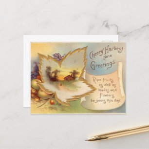 cool Thanksgiving scene vintage Postcard