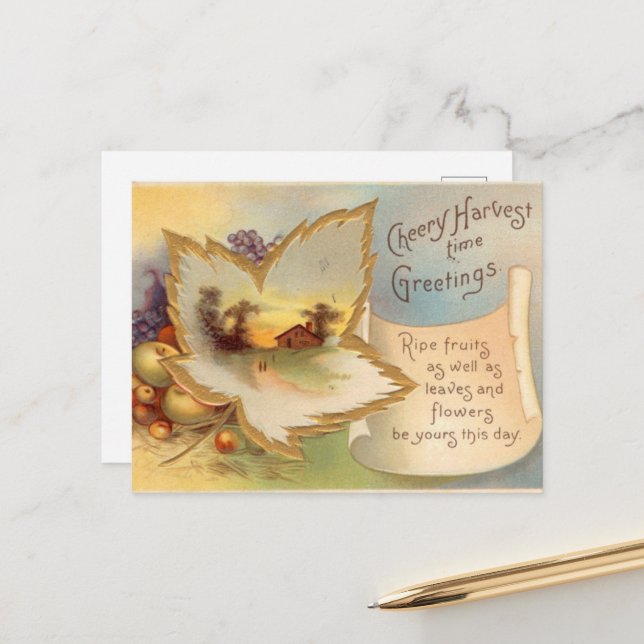 cool Thanksgiving scene vintage Postcard  (Front/Back In Situ)