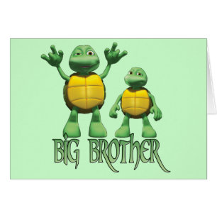 Cool Turtles Big  Brother