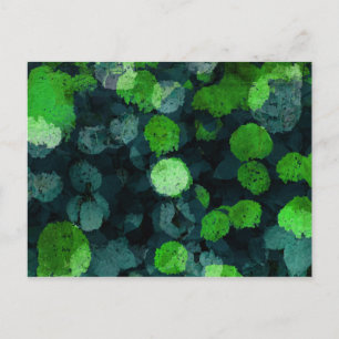 Cool, unique art of floral / flower pattern postcard