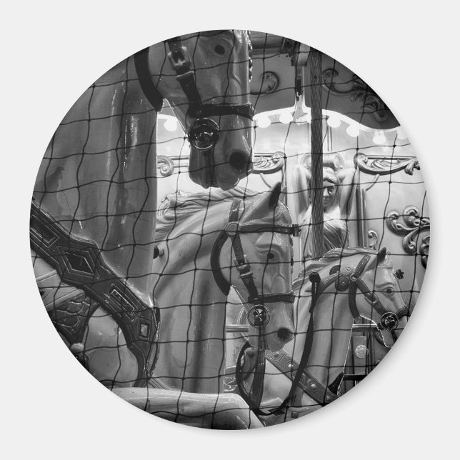 Cool, urban, modern photo of horses of carousel magnet (Front)