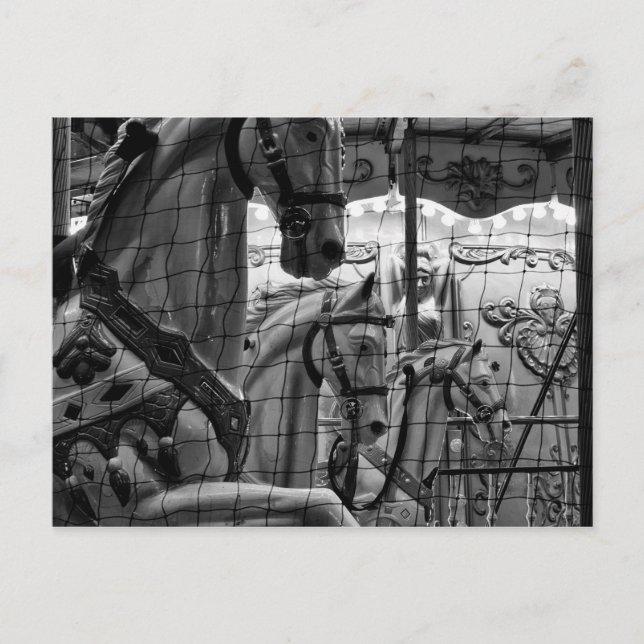 Cool, urban, modern photo of horses of carousel postcard (Front)