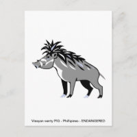 Cool Visayan Warty PIG - Conservation - Warthog