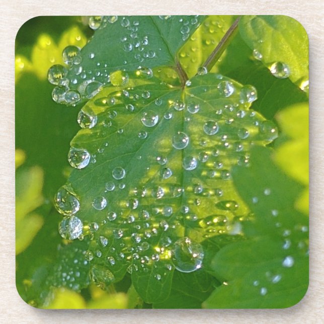 Cool Waterdrops On Green Leaf Coaster (Front)