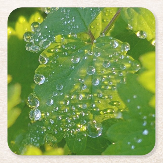 Cool Waterdrops On Green Leaf Square Paper Coaster (Front)