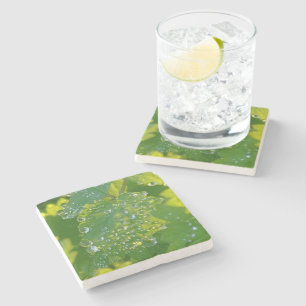 Cool Waterdrops On Green Leaf Stone Coaster