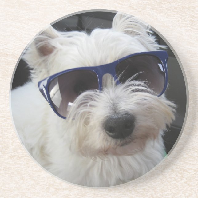 Cool Westie Coaster (Front)