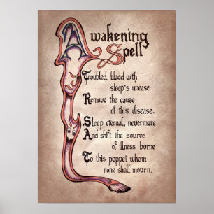 cool witch spell party Poster