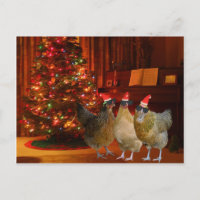 Cool Xmas Chickens