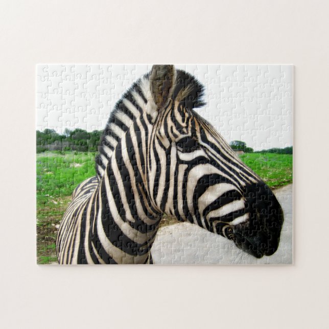 Cool Zebra Photography Jigsaw Puzzle (Horizontal)
