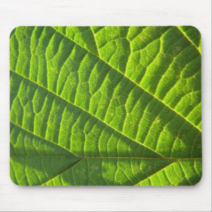 Cooles grünes Blattmuster Mouse Mat