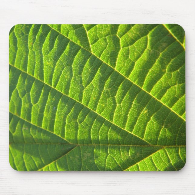 Cooles grünes Blattmuster Mouse Mat (Front)