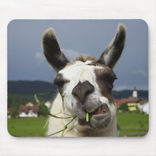 Coolest Llama Mouse Mat (Front)