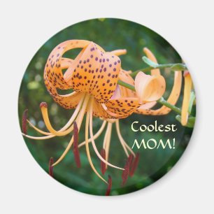 COOLEST MOM! Tiger Lily Maget Refrigerator Magnets