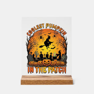 Coolest Pumpkin Patch Halloween Witch Spiders Grav Acrylic Sign