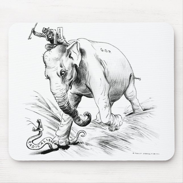 Coolidge-Radicals Mouse Mat (Front)