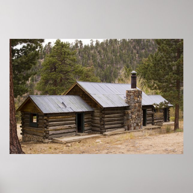 Coon Creek Cabin Poster (Front)
