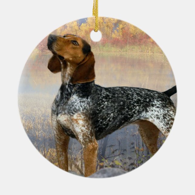 Coon Dog Ornament (Back)