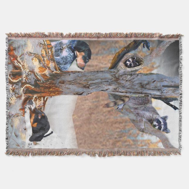 Coon Dogs Hunting Raccoons Blanket (Front)