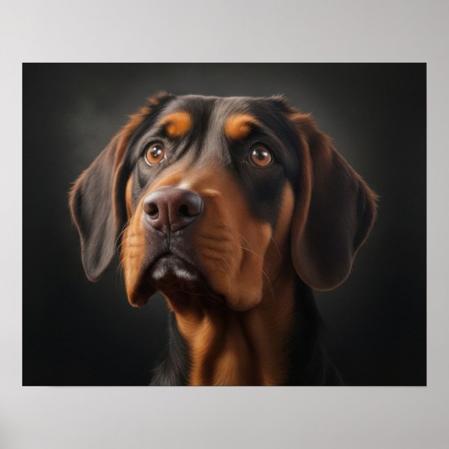 Coonhound Dog Poster (Front)