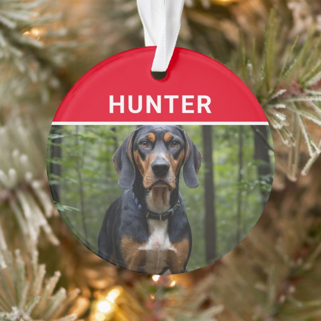 Coonhound with Dog's Name and Photo Christmas Ornament (Tree)