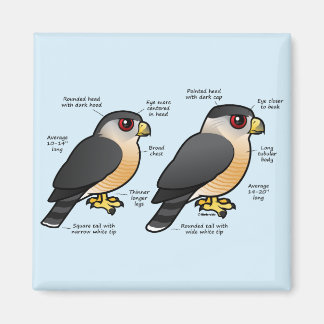 Coop v Sharpie Magnet