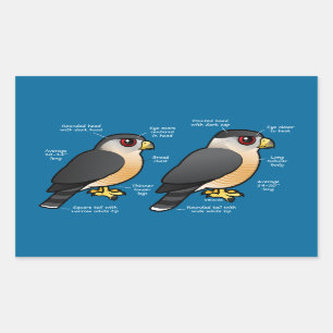 Coop v Sharpie Rectangular Sticker