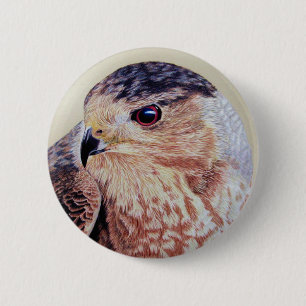 Coopers Hawk 6 Cm Round Badge