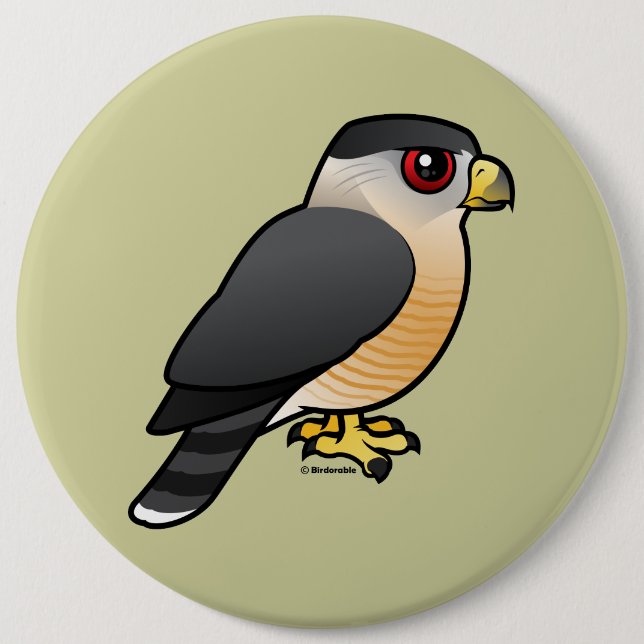 Cooper's Hawk 6 Cm Round Badge (Front)