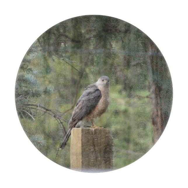 Cooper's Hawk Cutting Board (Front)