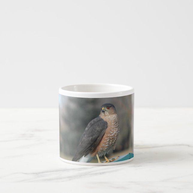 Coopers Hawk Espresso Cup (Front)