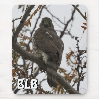 Cooper's Hawk in Tree Your Initials Mouse Pad