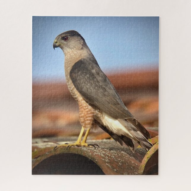 Cooper's Hawk Jigsaw Puzzle (Vertical)