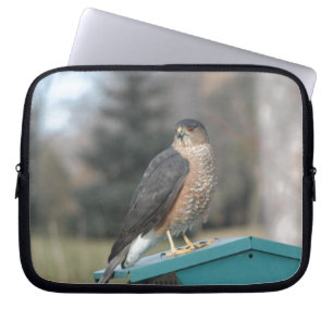 Coopers Hawk Laptop Sleeve