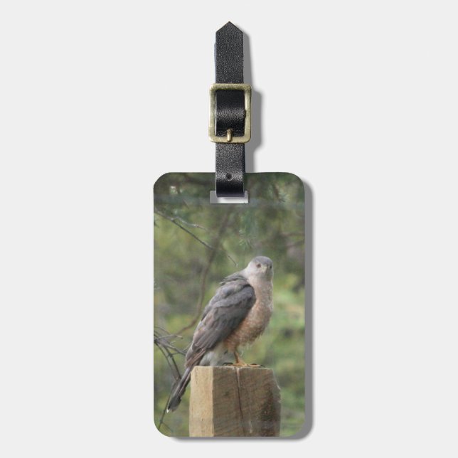 Cooper's Hawk Luggage Tag (Front Vertical)