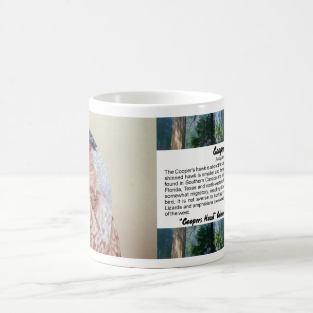 Coopers Hawk Portrait Coffee Mug (Center)