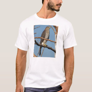 Coopers Hawk T-Shirt