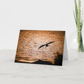 Coorong Pelican on Dusk Card