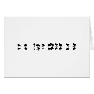 Coot Design - Black on White