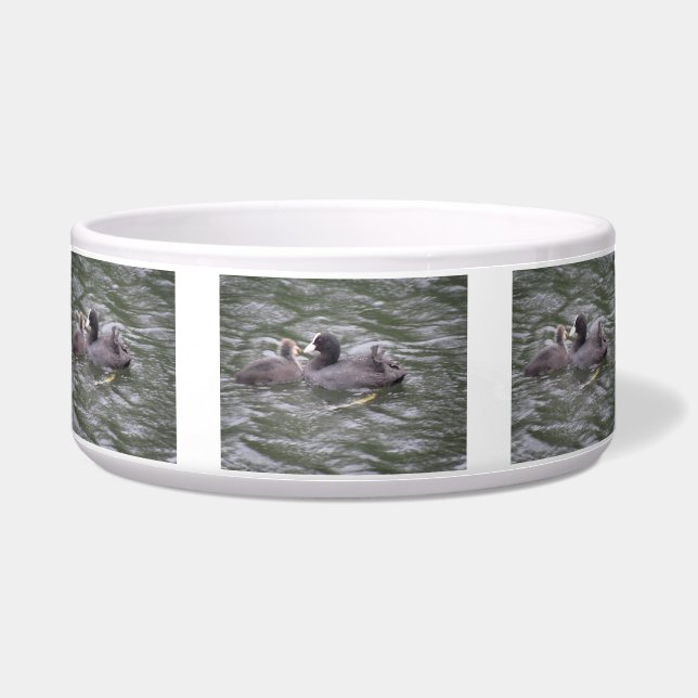 Coot Feeding Hungry Chick Pet Bowl (Front)
