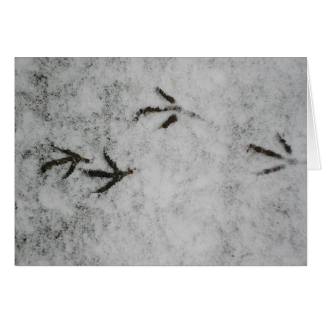 Coot Footprints In The Snow (Front Horizontal)