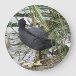 Coot on the Riverbank Clock