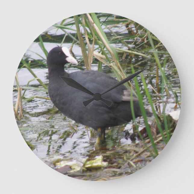 Coot on the Riverbank Clock (Front)
