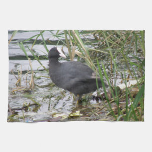 Coot on the Riverbank Kitchen Towel