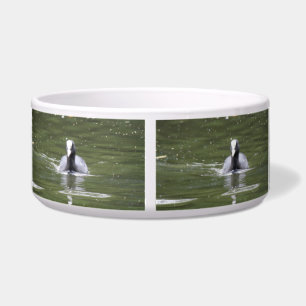Coot Swimming Dog Bowl